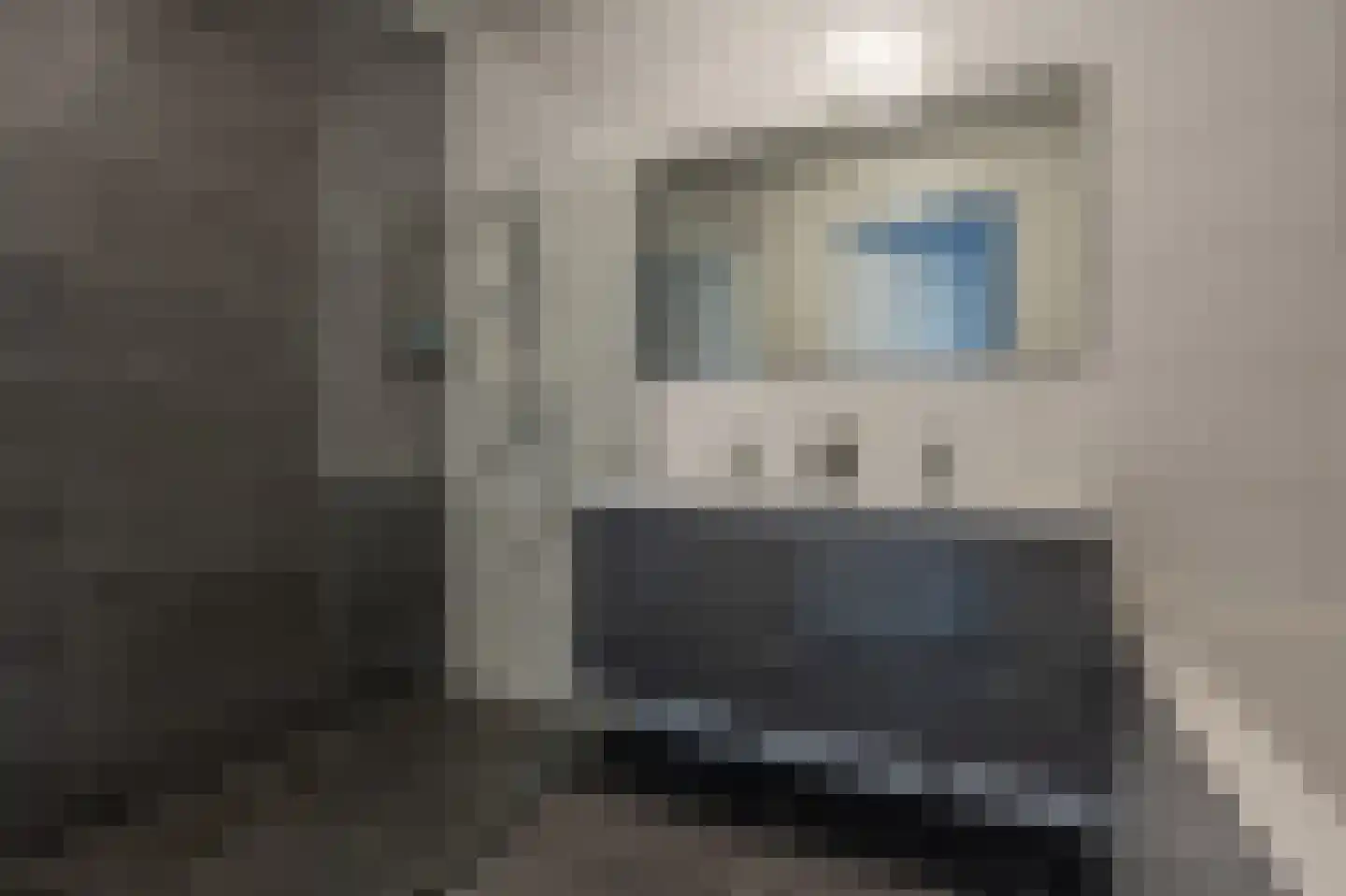Wilhelminakade 313 Rotterdam thumbnail 15