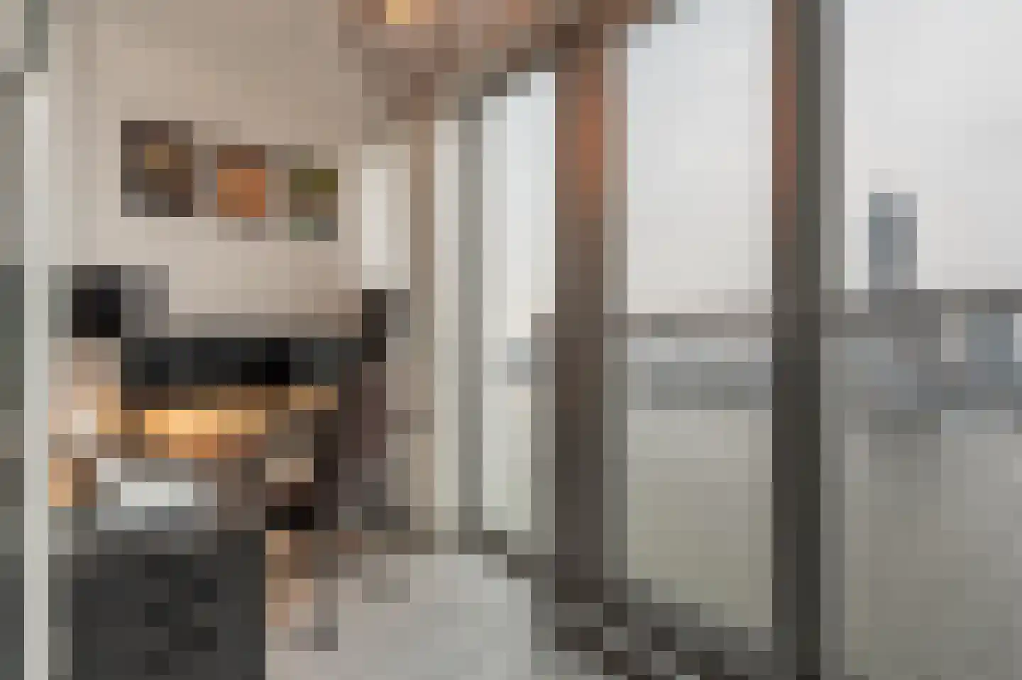 Wilhelminakade 313 Rotterdam thumbnail 19