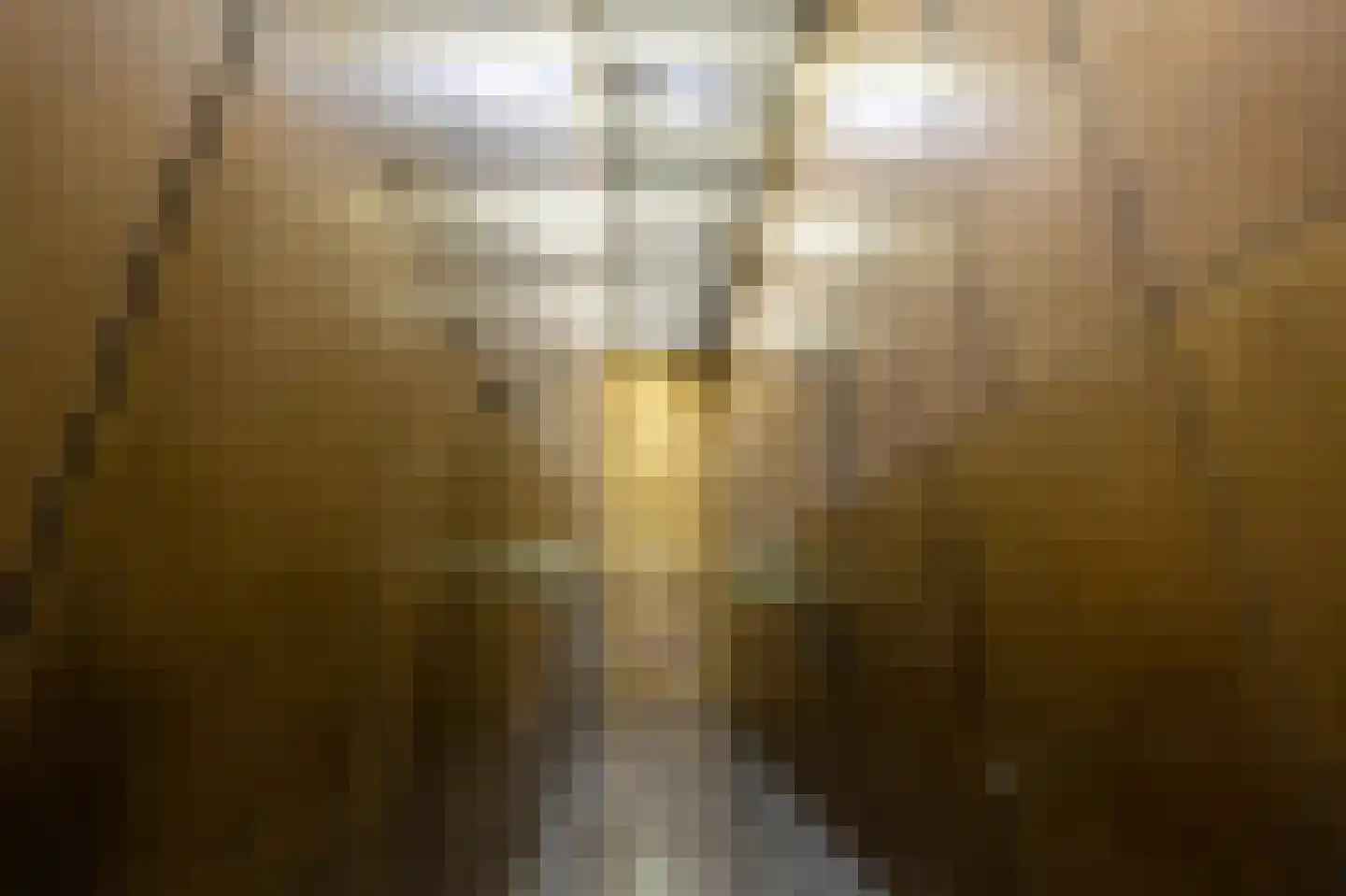 Wilhelminakade 313 Rotterdam thumbnail 27