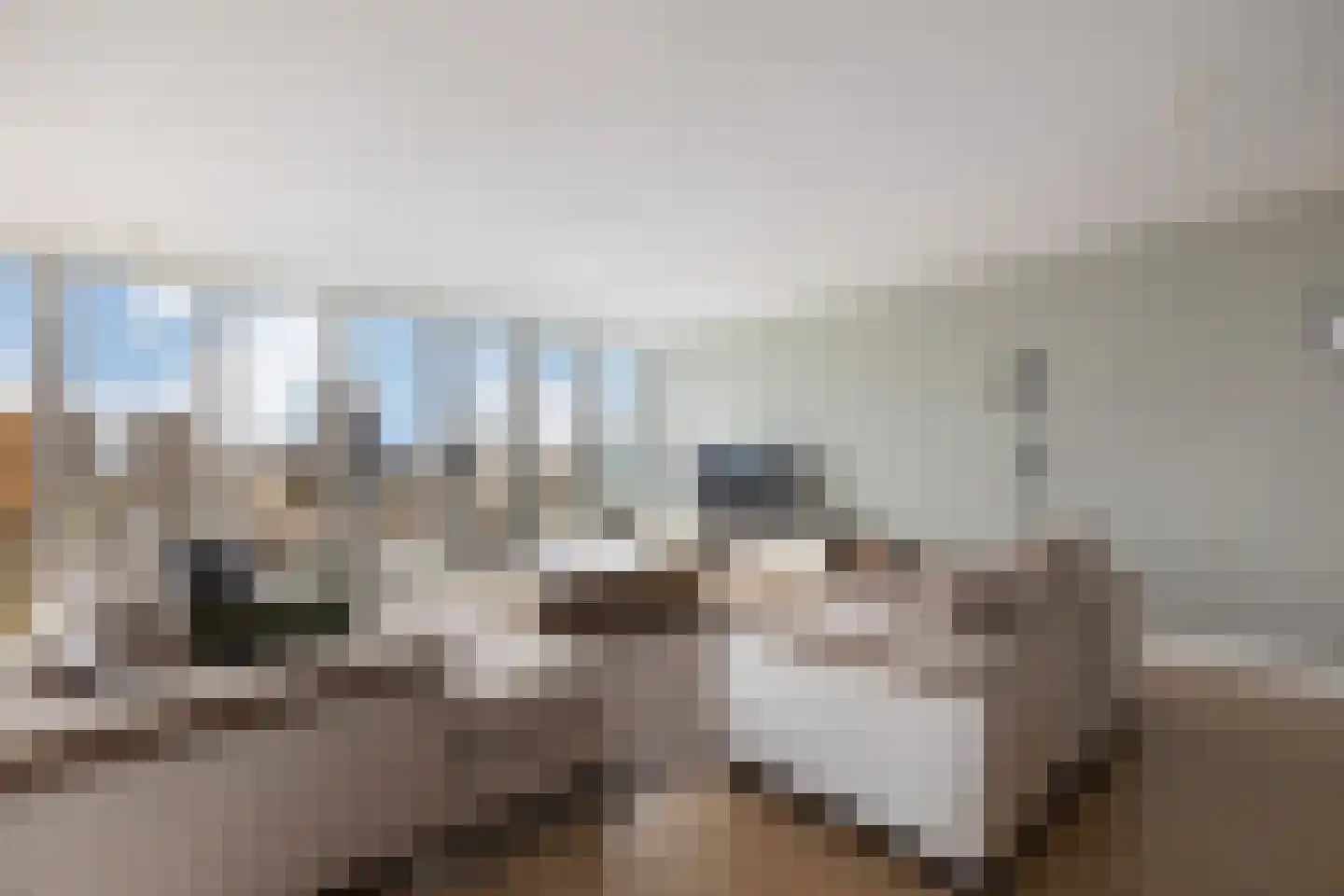Wilhelminakade 323 Rotterdam thumbnail 12