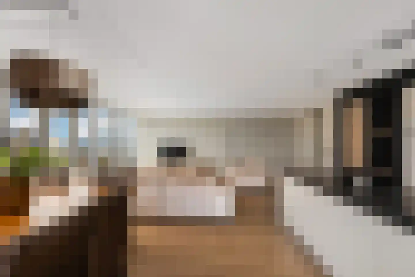 Wilhelminakade 323 Rotterdam thumbnail 18