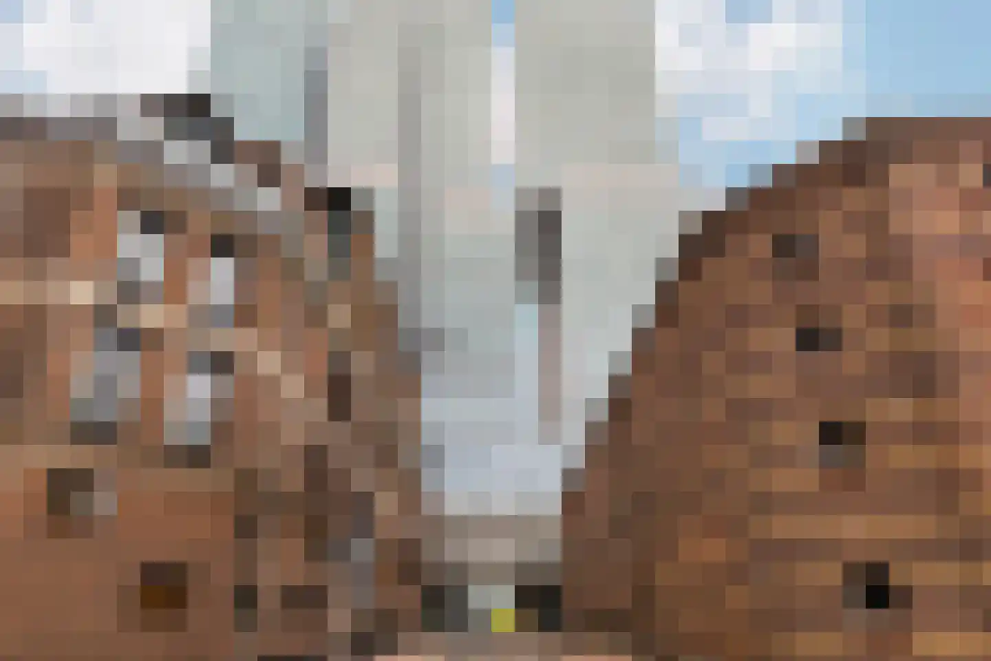 Wilhelminakade 323 Rotterdam thumbnail 44