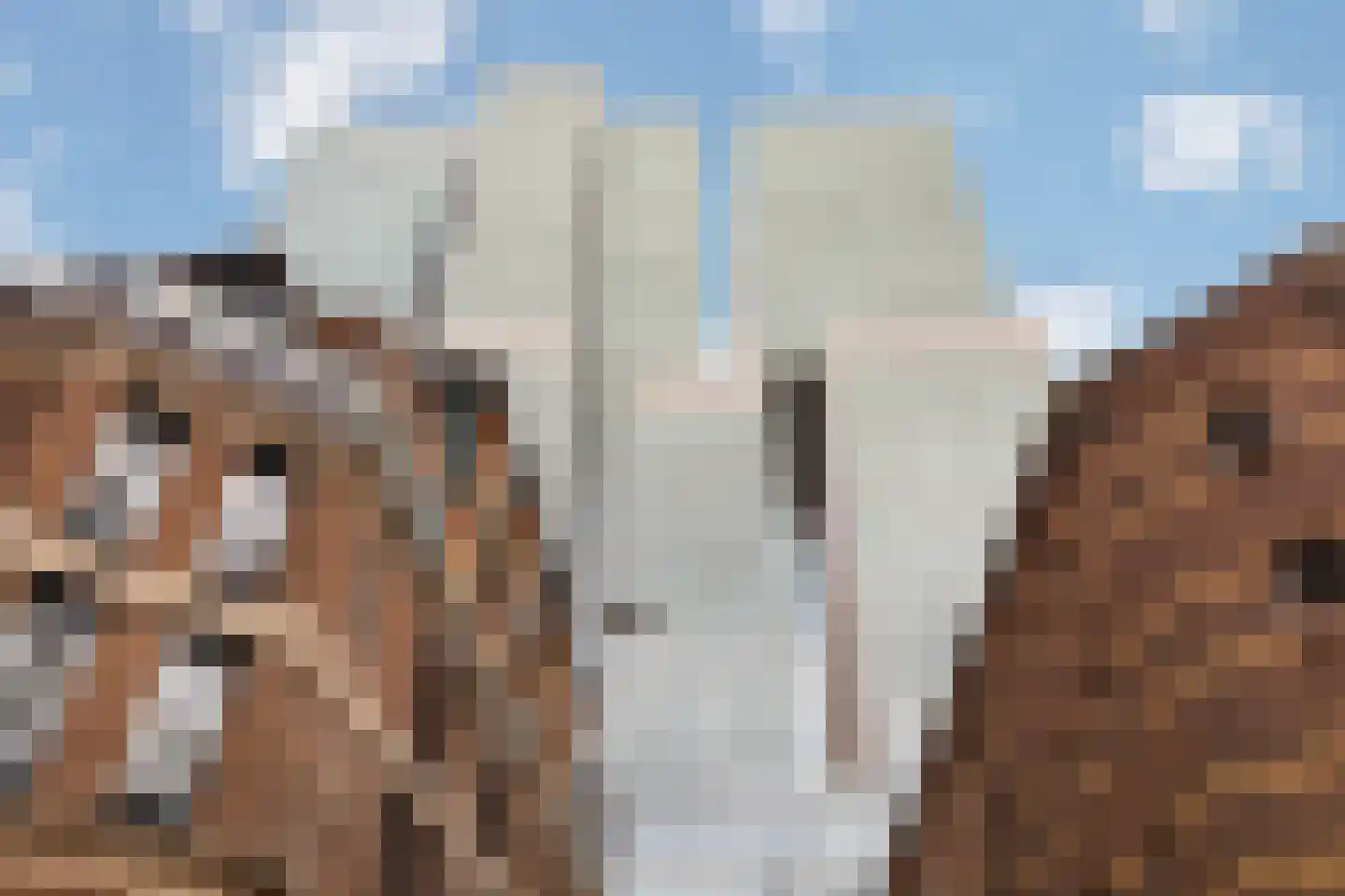 Wilhelminakade 323 Rotterdam thumbnail 45
