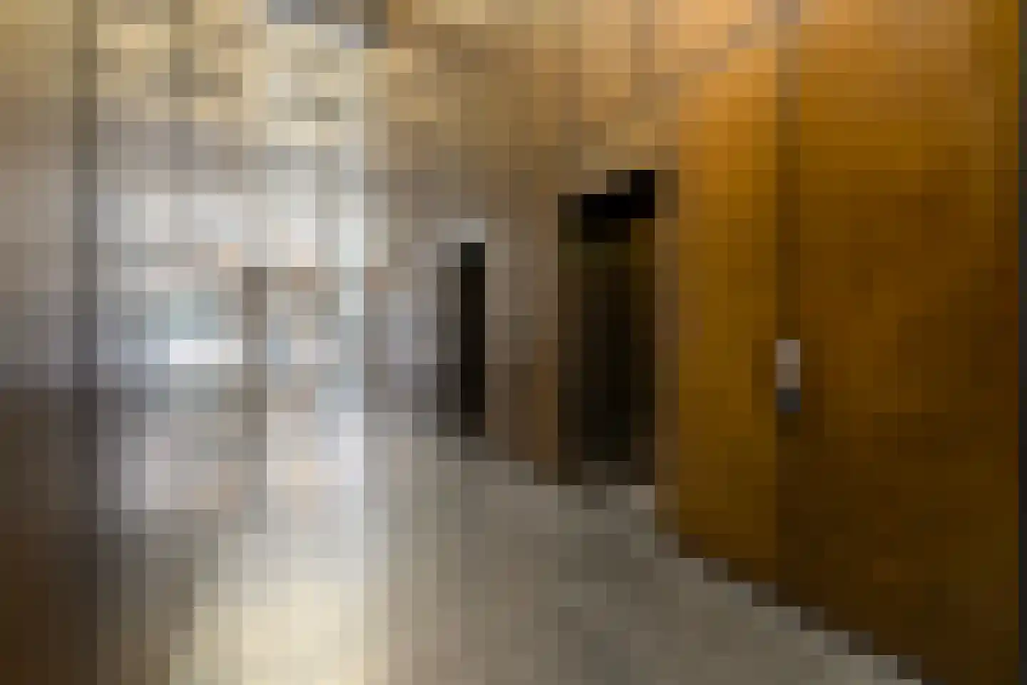 Wilhelminakade 353 Rotterdam thumbnail 37