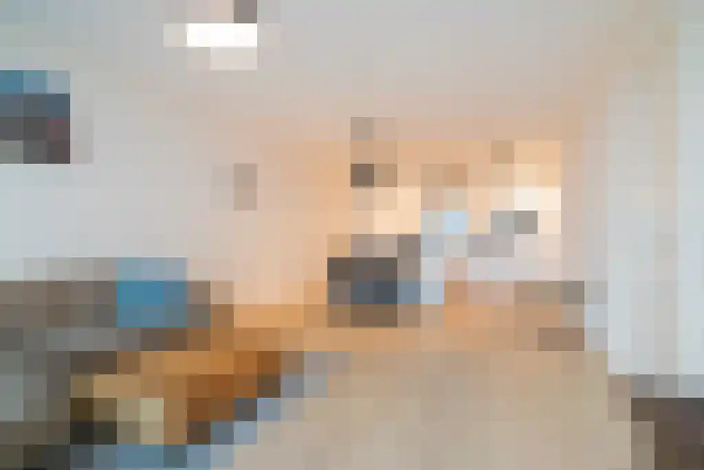 Wilhelminakade 399 Rotterdam thumbnail 4