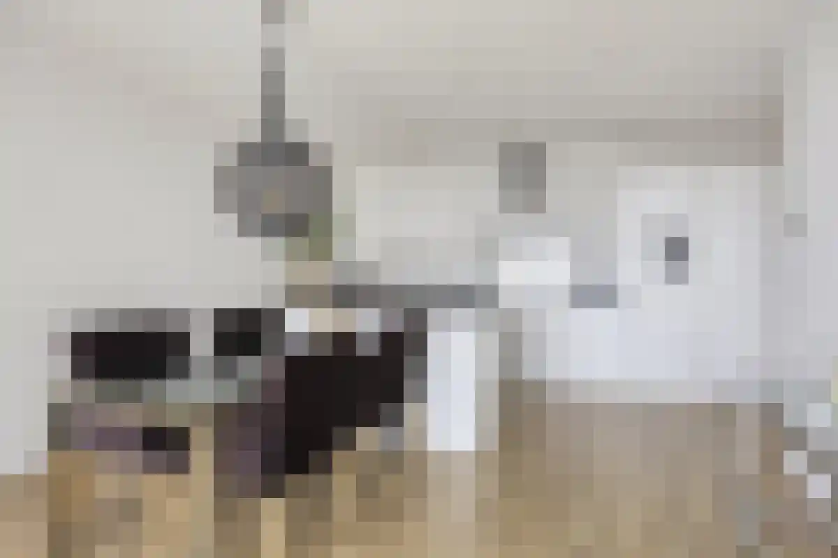 Wilhelminakade 413 Rotterdam thumbnail 5