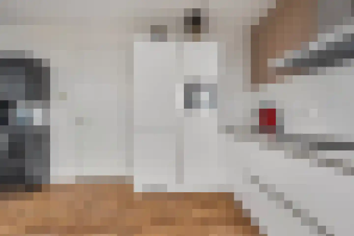 Wilhelminakade 417 Rotterdam thumbnail 10