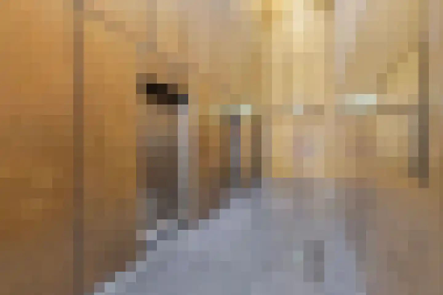 Wilhelminakade 417 Rotterdam thumbnail 27