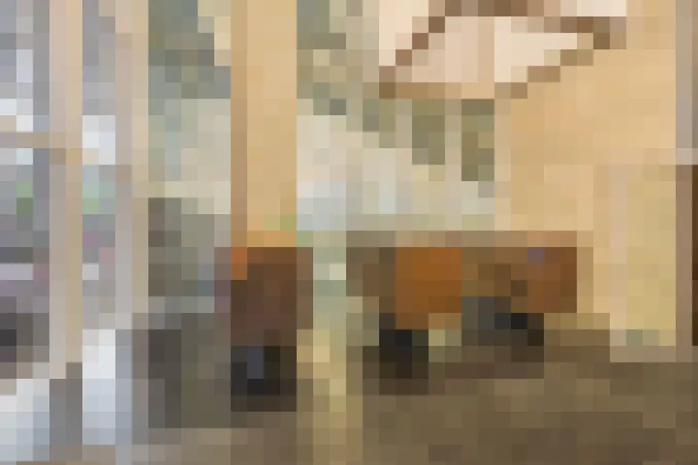 Wilhelminakade 417 Rotterdam thumbnail 29