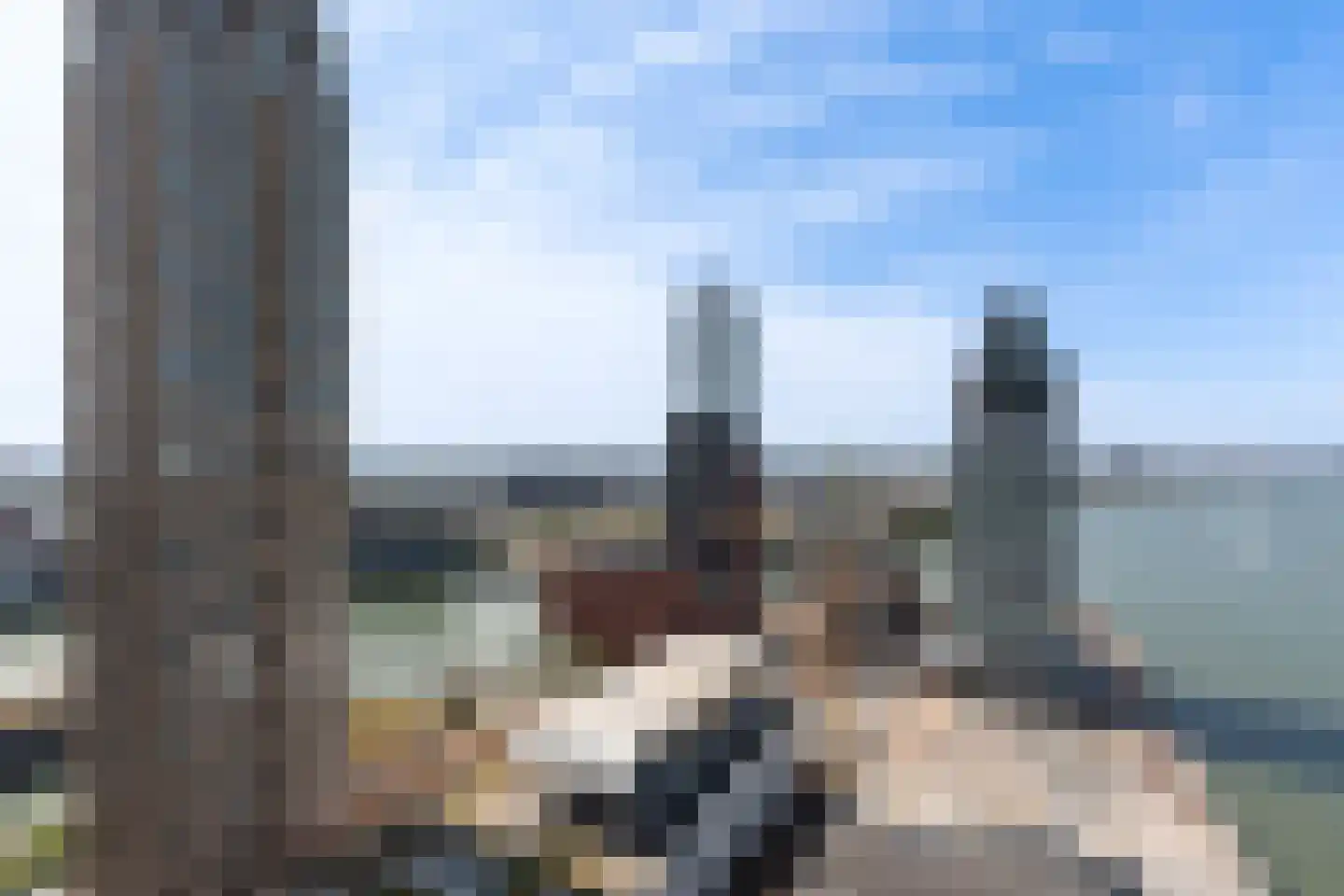 Wilhelminakade 419 Rotterdam thumbnail 18