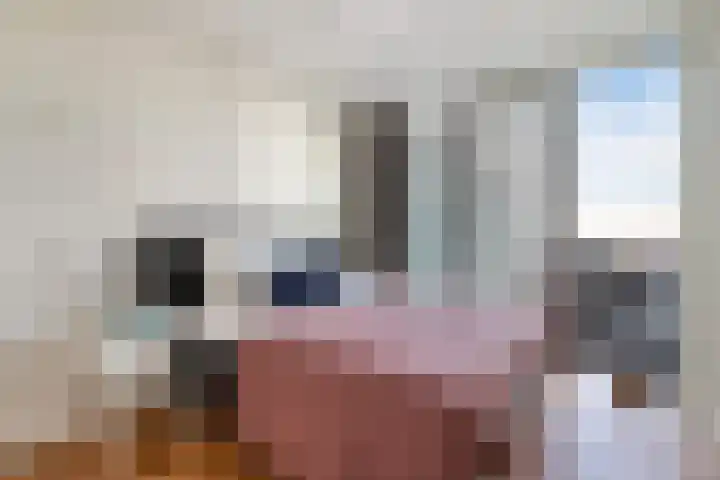 Wilhelminakade 427 Rotterdam thumbnail 24
