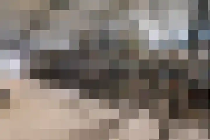 Wilhelminakade 427 Rotterdam thumbnail 32