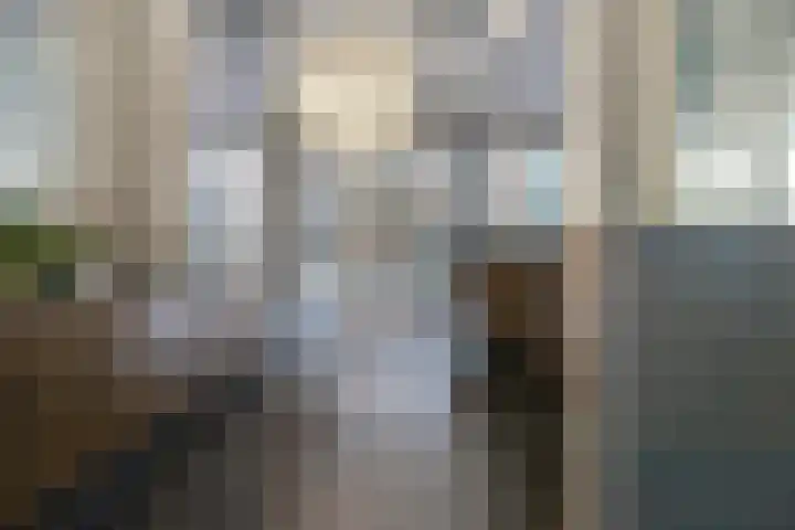 Wilhelminakade 427 Rotterdam thumbnail 6