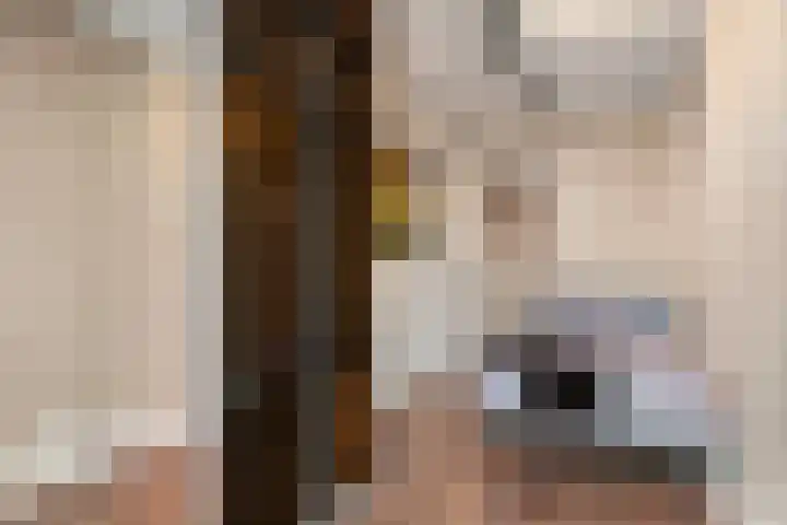 Wilhelminakade 435 Rotterdam thumbnail 31