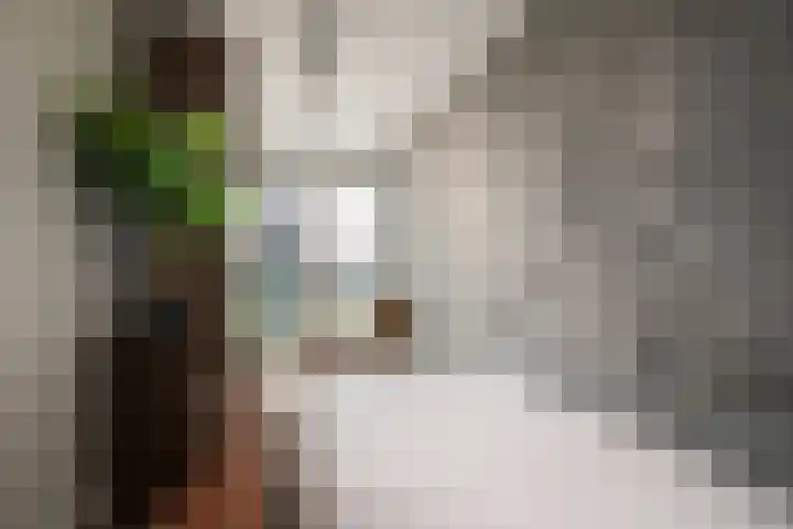 Wilhelminakade 435 Rotterdam thumbnail 33