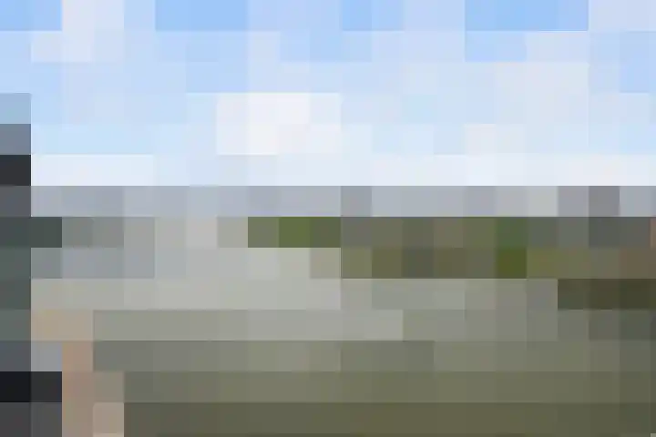 Wilhelminakade 435 Rotterdam thumbnail 41
