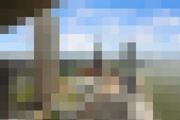 Wilhelminakade 435 Rotterdam thumbnail 42