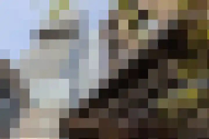 Wilhelminakade 435 Rotterdam thumbnail 45