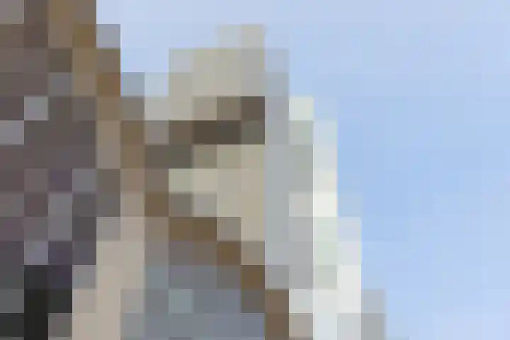 Wilhelminakade 435 Rotterdam thumbnail 6