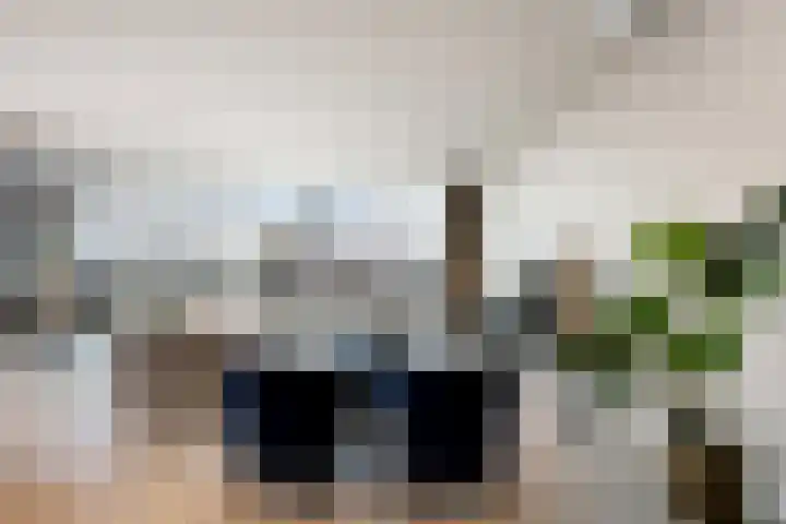 Wilhelminakade 435 Rotterdam thumbnail 7