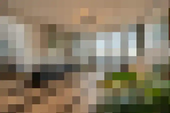 Wilhelminakade 441 Rotterdam thumbnail 12