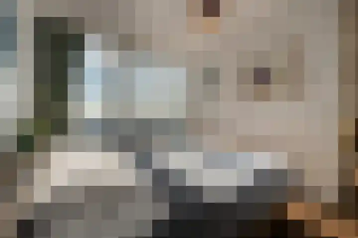 Wilhelminakade 441 Rotterdam thumbnail 14