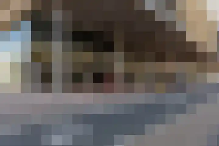 Wilhelminakade 441 Rotterdam thumbnail 23