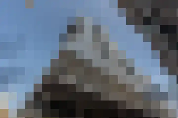 Wilhelminakade 441 Rotterdam thumbnail 25