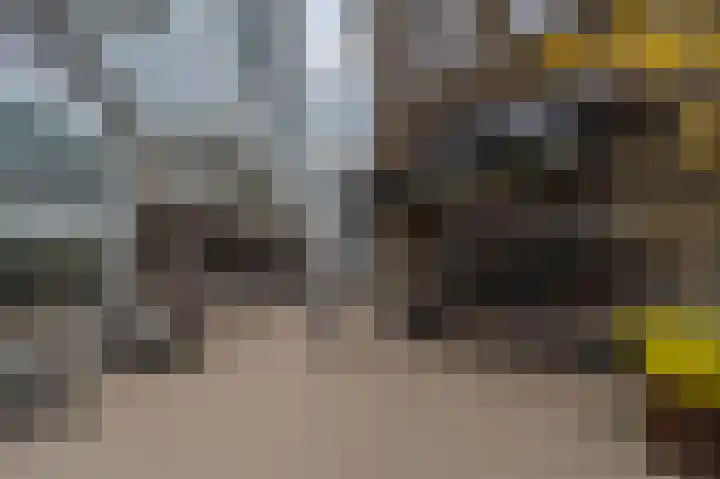 Wilhelminakade 441 Rotterdam thumbnail 26