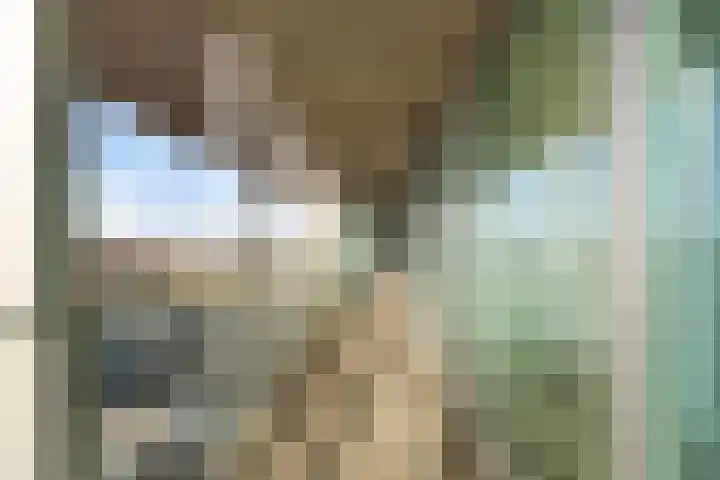 Wilhelminakade 445 Rotterdam thumbnail 14