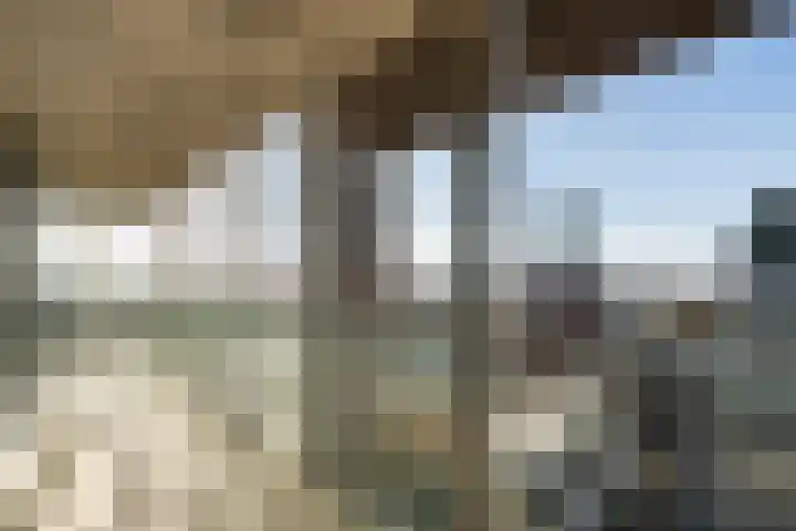 Wilhelminakade 445 Rotterdam thumbnail 18