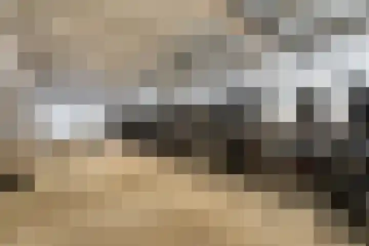 Wilhelminakade 445 Rotterdam thumbnail 33