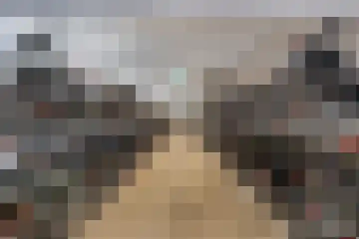 Wilhelminakade 445 Rotterdam thumbnail 34