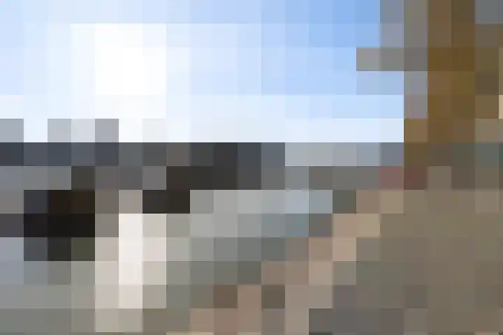 Wilhelminakade 445 Rotterdam thumbnail 41