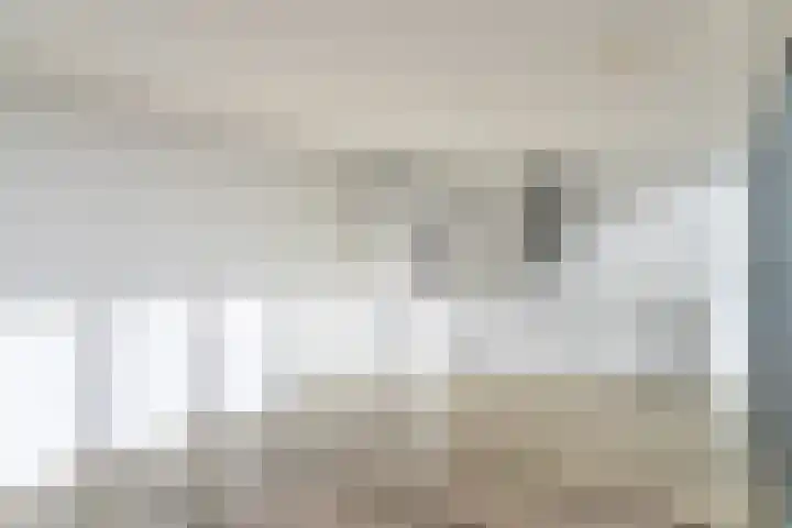 Wilhelminakade 445 Rotterdam thumbnail 8