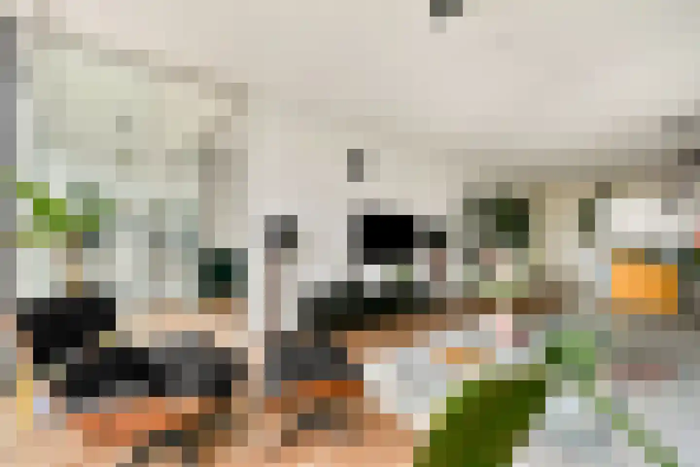 Wilhelminakade 451 Rotterdam thumbnail 12