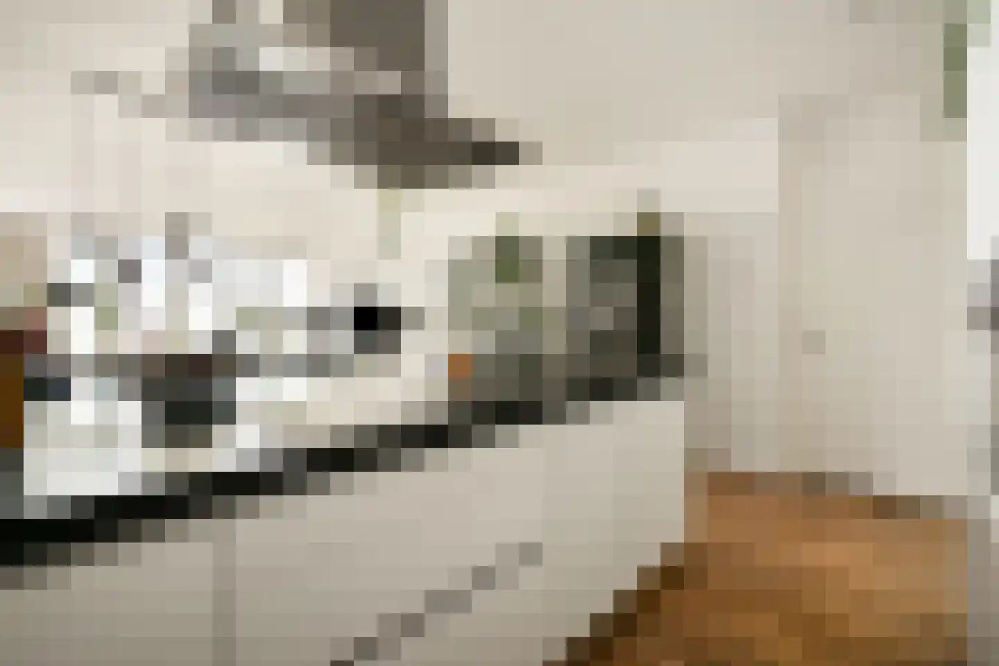 Wilhelminakade 451 Rotterdam thumbnail 15