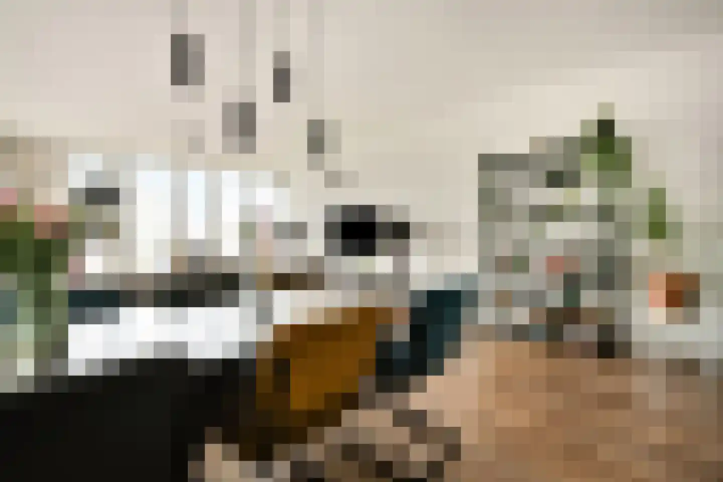 Wilhelminakade 451 Rotterdam thumbnail 17
