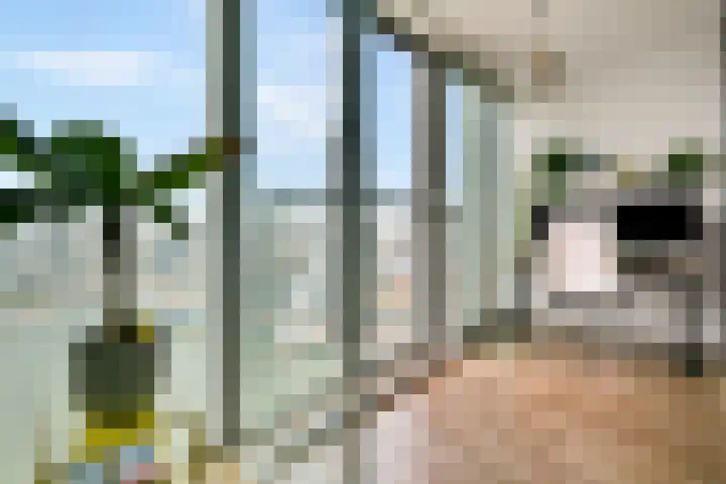 Wilhelminakade 451 Rotterdam thumbnail 19