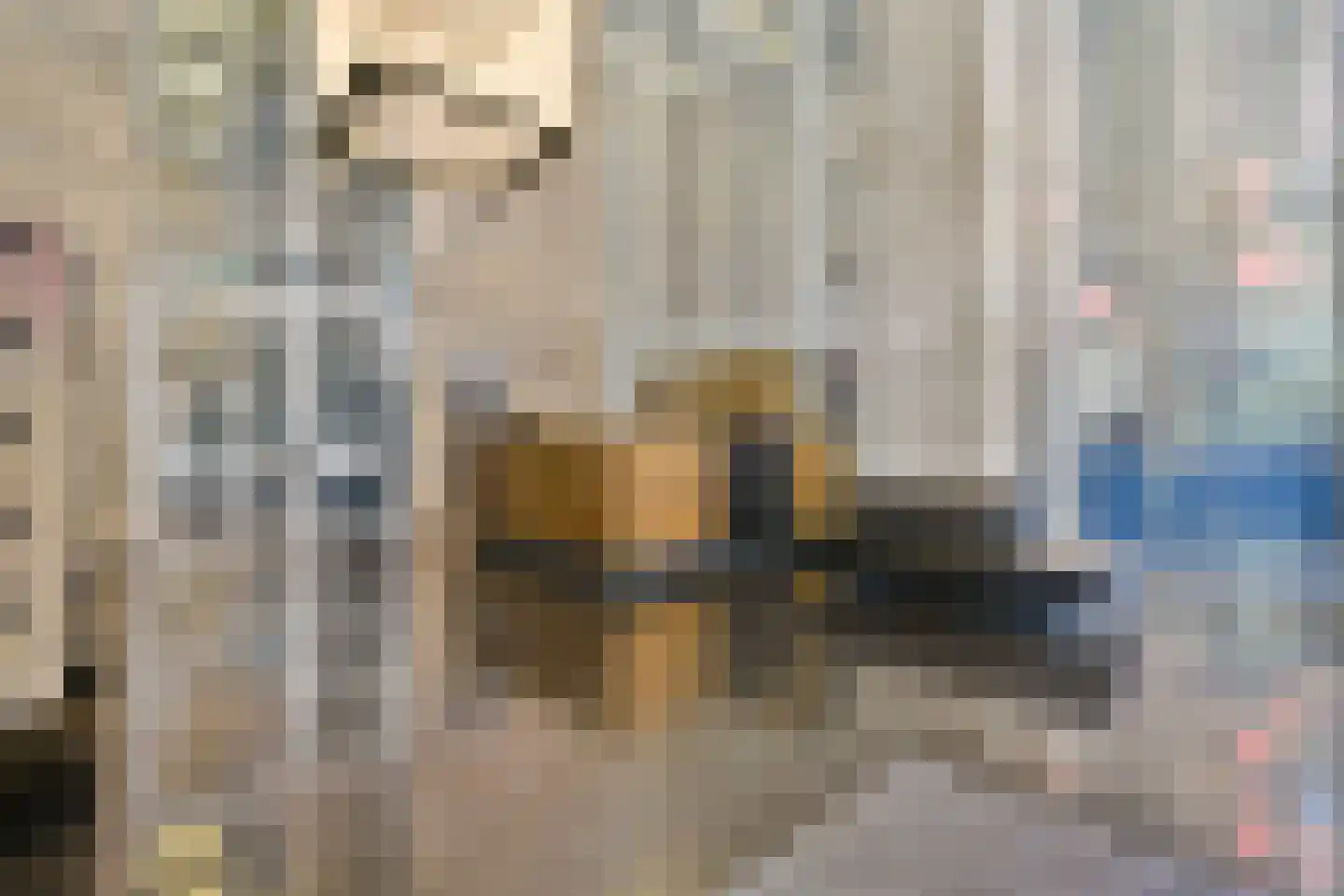 Wilhelminakade 451 Rotterdam thumbnail 6