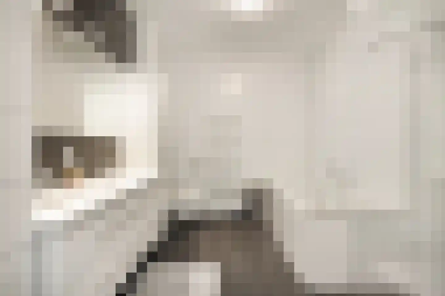 Wilhelminakade 465 Rotterdam thumbnail 30