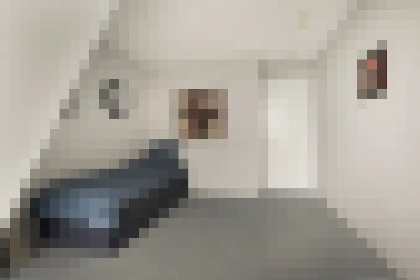 Wilhelminakade 465 Rotterdam thumbnail 34