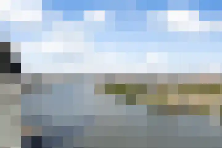 Wilhelminakade 467 Rotterdam thumbnail 19