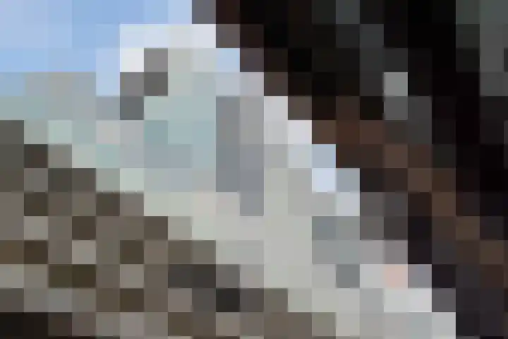 Wilhelminakade 467 Rotterdam thumbnail 43