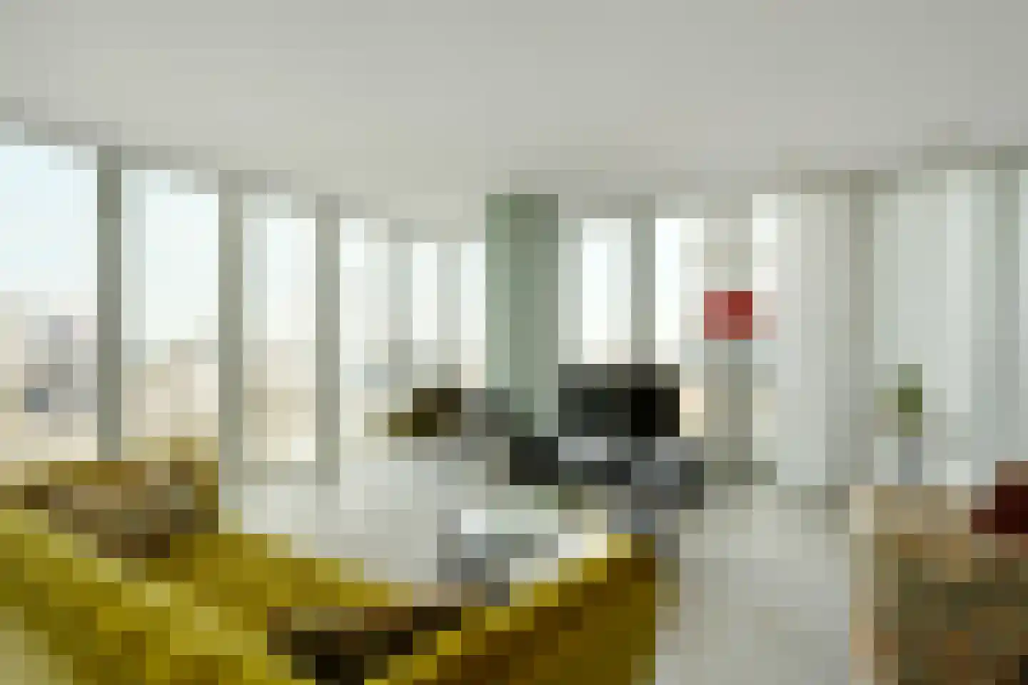 Wilhelminakade 473 Rotterdam thumbnail 19