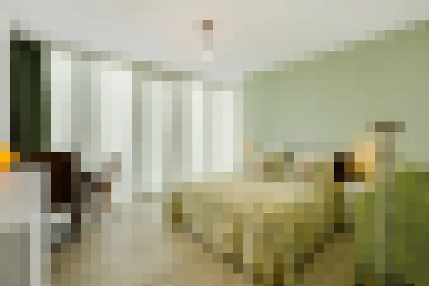 Wilhelminakade 473 Rotterdam thumbnail 24