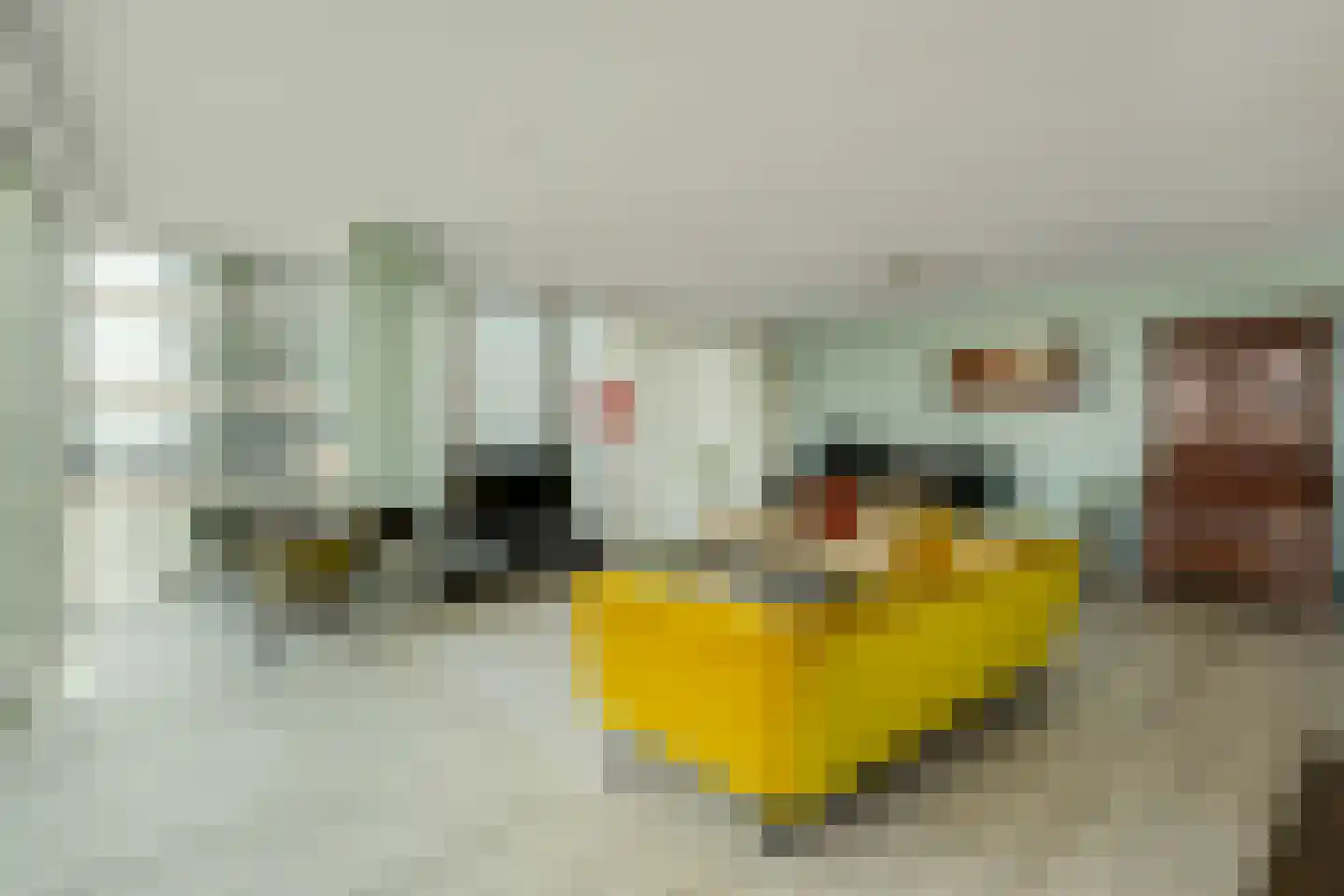 Wilhelminakade 473 Rotterdam thumbnail 7
