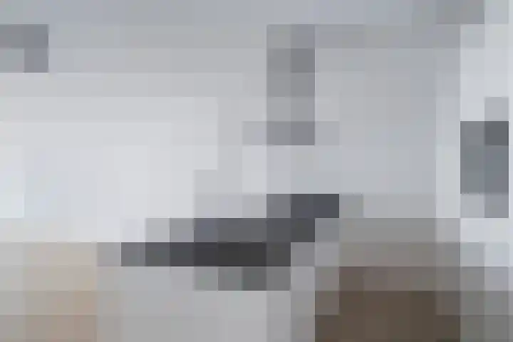 Wilhelminakade 479 Rotterdam thumbnail 10