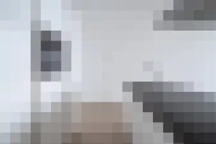 Wilhelminakade 479 Rotterdam thumbnail 15
