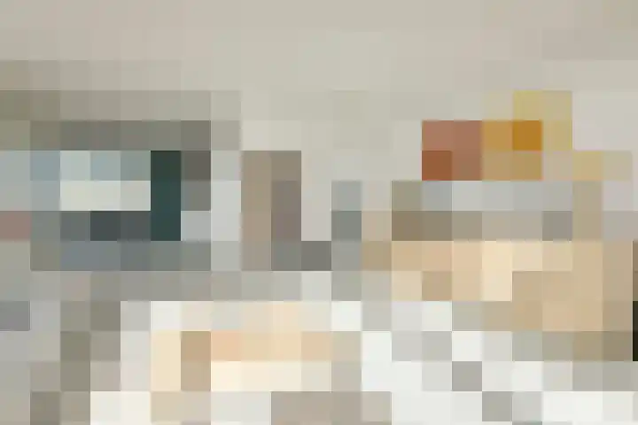 Wilhelminakade 55 Uithoorn thumbnail 8